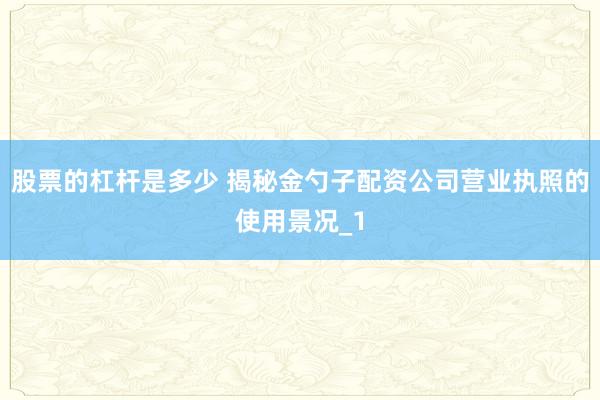股票的杠杆是多少 揭秘金勺子配资公司营业执照的使用景况_1